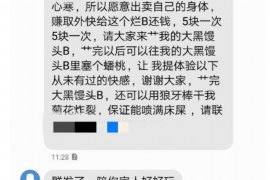 嘉鱼要债公司